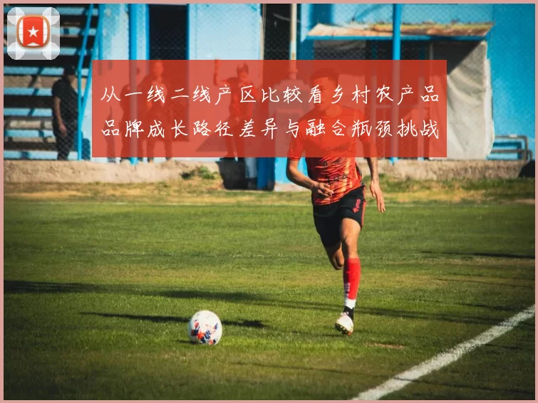 从一线二线产区比较看乡村农产品品牌成长路径差异与融合瓶颈挑战