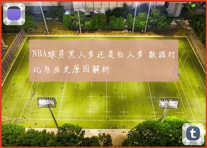 NBA球员黑人多还是白人多 数据对比与历史原因解析